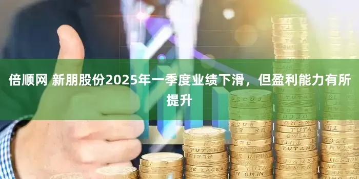 倍顺网 新朋股份2025年一季度业绩下滑，但盈利能力有所提升