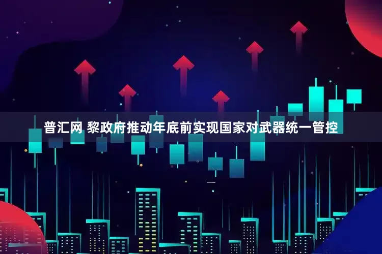普汇网 黎政府推动年底前实现国家对武器统一管控