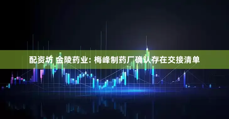 配资坊 金陵药业: 梅峰制药厂确认存在交接清单