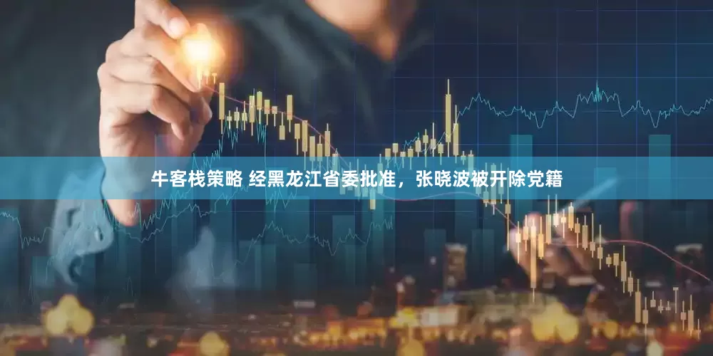 牛客栈策略 经黑龙江省委批准，张晓波被开除党籍