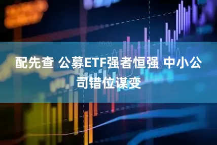 配先查 公募ETF强者恒强 中小公司错位谋变