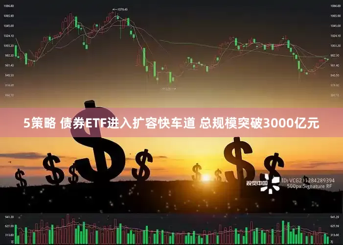 5策略 债券ETF进入扩容快车道 总规模突破3000亿元